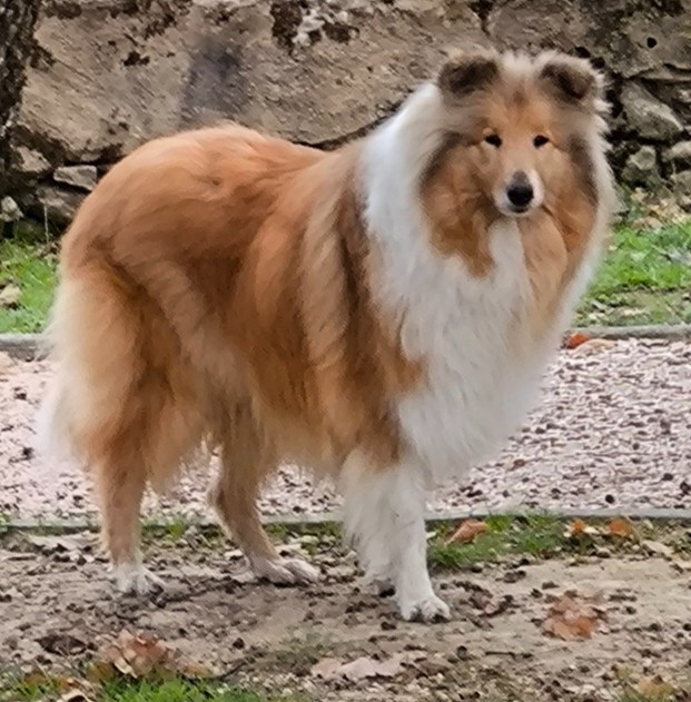 U got the look Des Conquêtes De Don Juan