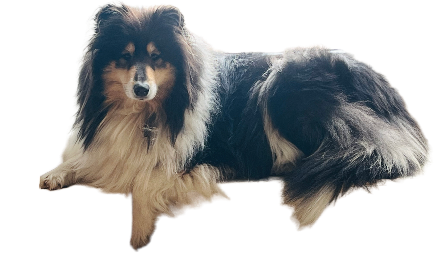 Roxanne De Charletienne