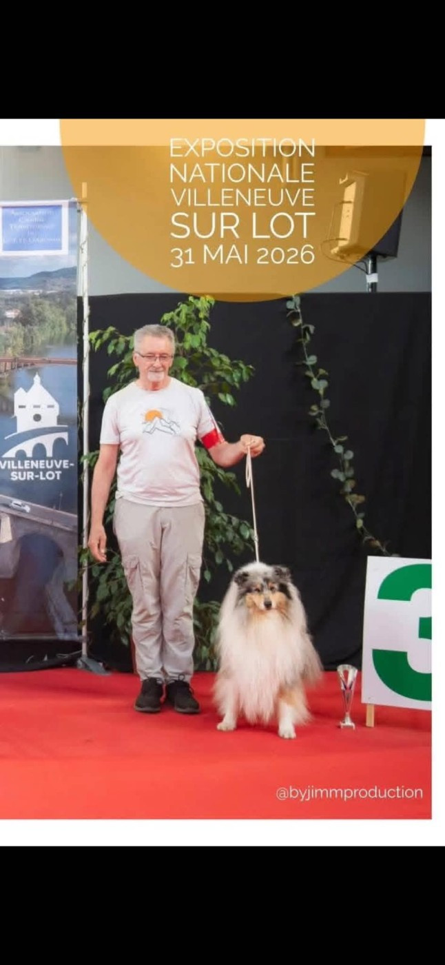 De Charletienne - National Dog Show CACS Villeneuve sur lot 2026